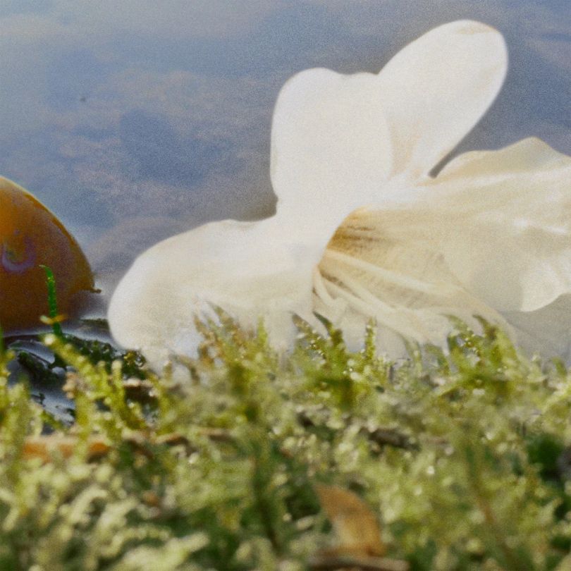 Chloé Nomade, Eau de Parfum, 75ml